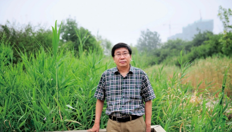 陆明君