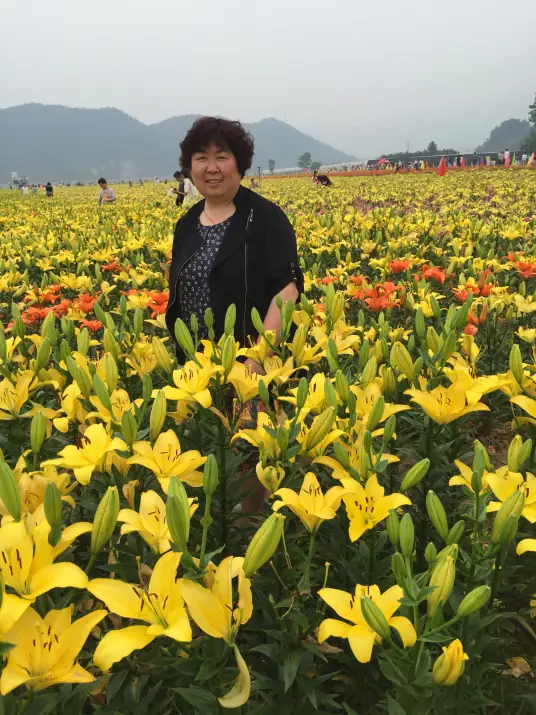 阳桂芳