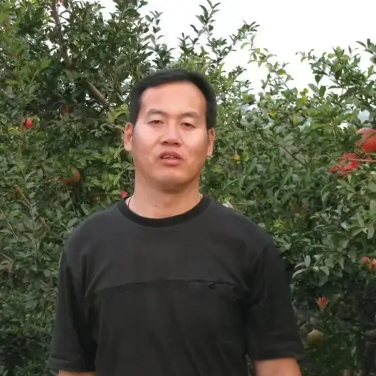 成磊